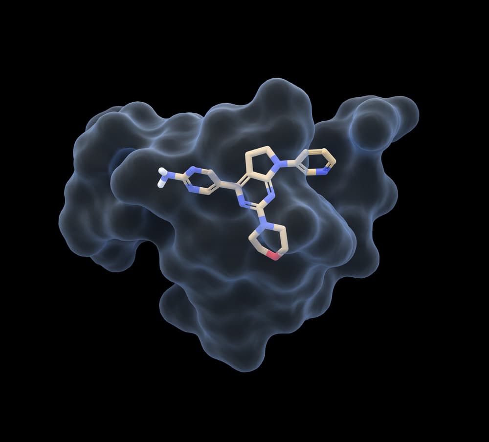 CH5108134 docked into PI3Kγ (PDB 3APD), seen inside the surface of its binding pocket