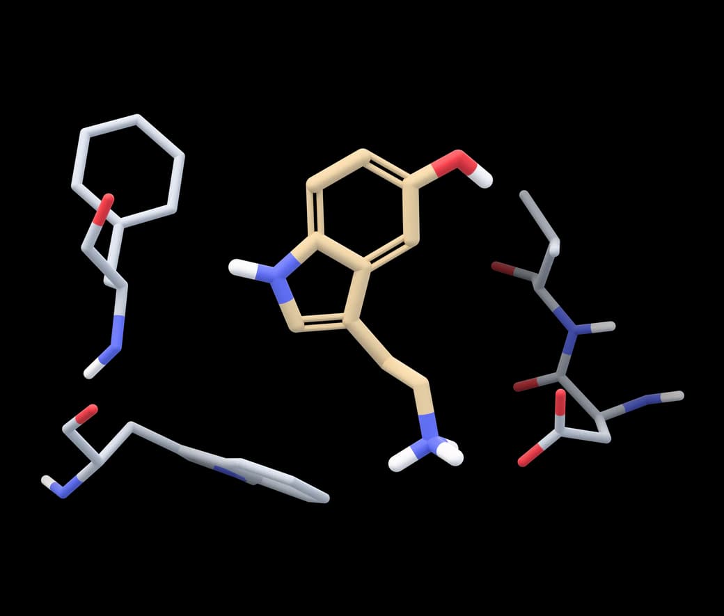 Serotonin docked into the serotonin 5-HT2A receptor (PDB 7WC5), the pocket's residues drawn as sticks